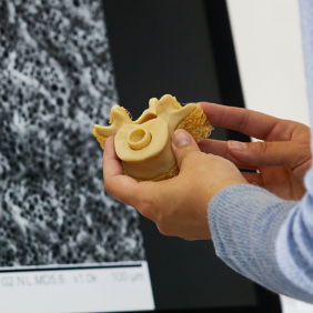 a person holding a 3D printed vertebrae